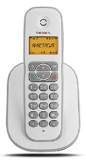 TEXET TX-D4505A White/Gray Радиотелефон