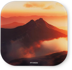 HYUNDAI H-BS03981 макс.180кг оранжевый