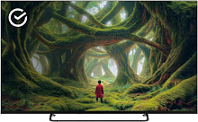 SBER SDX 50U4127 Салют ТВ черный 4K Ultra HD Smart TV
