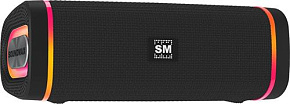 SOUNDMAX SM-PS5019B черный Портативная аудиосистема