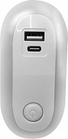 CAMELION (15384) NL-267 USB+TypeC (LED ночник с USB, 220V) Ночник