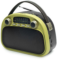 RITMIX RPR-040 LEMON Радиоприемник