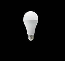 ECOLA D7RD20ELC CLASSIC LED PREMIUM 20W/A65/E27/6500K Лампа светодиодная