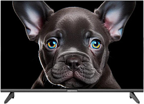 TOPDEVICE TDTV24CS08H HD SMART TV Телевизор