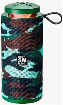 SOUNDMAX SM-PS5015B хаки Портативные аудиосистемы